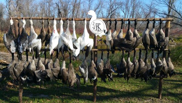 Goose hunting 2015