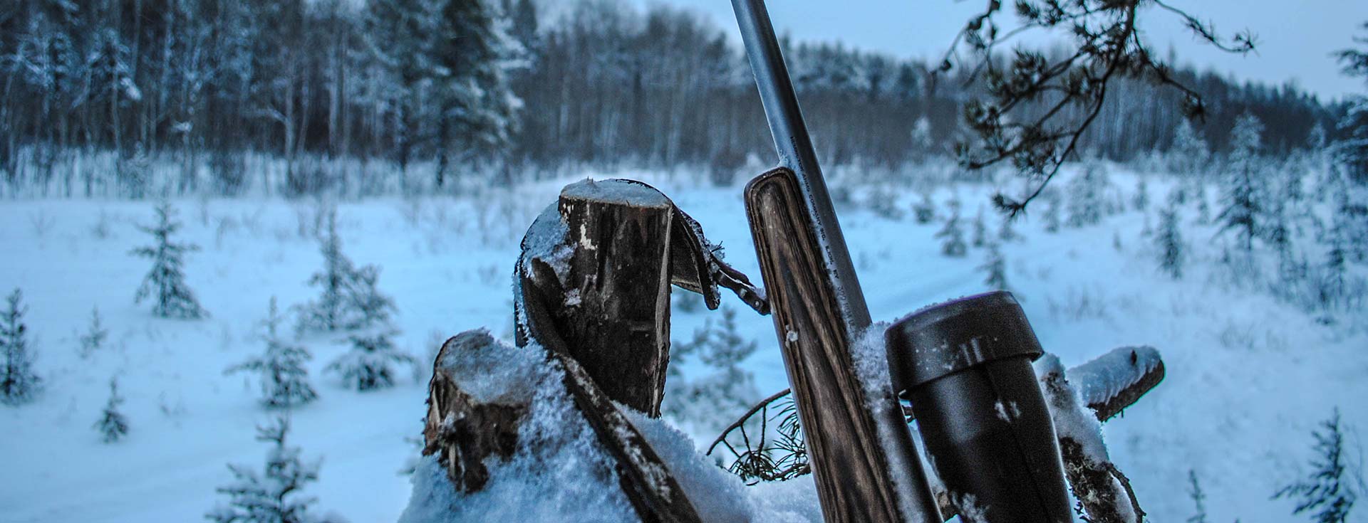 Whitetail hunting