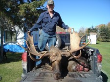 Emile's 59 inch moose