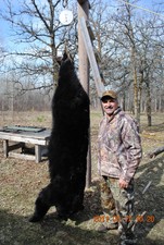 this is an average bear for us, it bottomd out the 450 lb scale. We have since bought aother and use 2 to get the big ones measured.