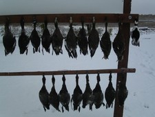 manitoba-duck-hunting-1