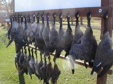 manitoba-waterfowl-hunting-2