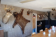 riverside-lodge-wall-mounts