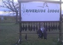 Riverside Lodge Waterfowl Hunting photo gallery.