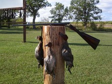 waterfowl-hunting-manitoba