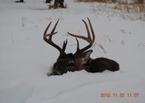 Riverside Lodge Whitetail Hunting photo gallery.