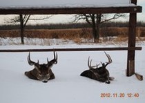 Riverside Lodge Whitetail Hunting photo gallery.